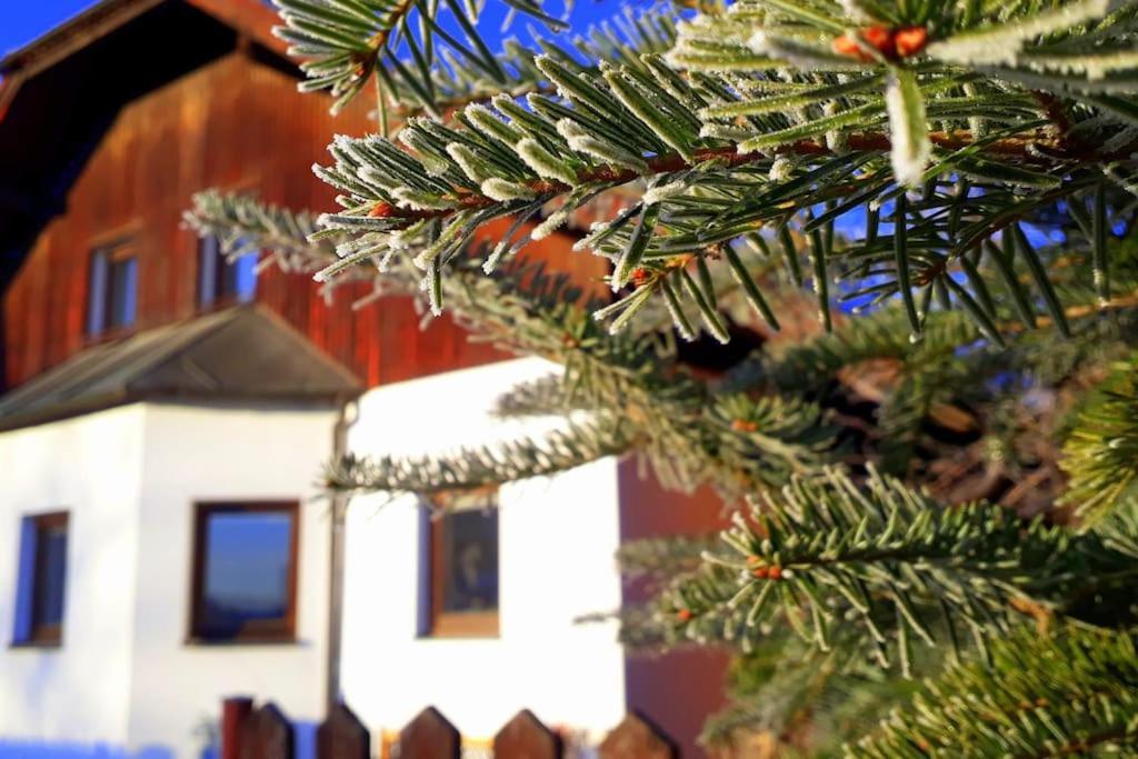 "Stone'S Throw" Krumlov 5 Min By Car, Lipno 15 Min By Car, 2 Bdrooms,Playroom Kájov 外观 照片